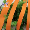 Golden orange ribbed tape, 0.6-5cm, packaging woven tape, high-density ribbon, gift decoration colored ribbon, satin ribbon, polyester ribbon details Picture